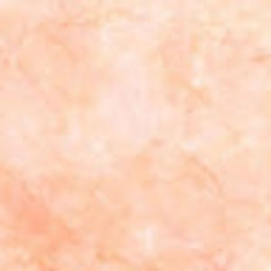 Meet your Posher, Ella